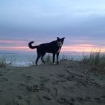 Vicki Bryson - @vicki.bryson.376 - Instagram