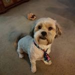 Vicki Bryson - @mahalo2124 - Instagram