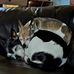 Vicki Burden - Facebook