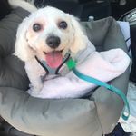 Vicki Burrell - @vickib1008 - Instagram
