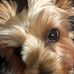 Vicki Burrell - Facebook