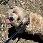 Vickie Burrell Willenbrock - @vbwillenbrock - Instagram