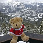 Vicki Burrows - @tenzing.bear - Instagram