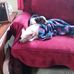 Vicki Cady - Facebook