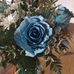 Vikki Cady - Facebook