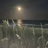 vickicalvertpeter - @vicki.calvertpete - TikTok