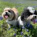 Vickie Calvert - Facebook