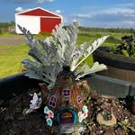 Vicki Schmuck Cameron - @vickicam111 - Instagram