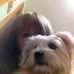 Vicky Cantwell - Facebook