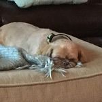 Vicki Capps Webber - @vv8284 - Instagram