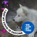 Vicki Buell Carbone - Facebook