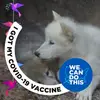 Vicki Buell Carbone - @vicki.buell.carbo - TikTok