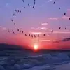 Vicky Carbone - @vicky.carbone - TikTok