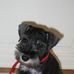 Vicki Cartwright - Facebook