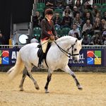 Vicki Casey - @vcequine - Instagram