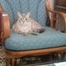 Vicki Caskey - Facebook