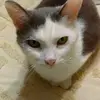 vickiecates6 - @vickiecates6 - TikTok