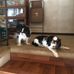 Vicki Chapman - Facebook