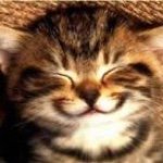 Vicki Cheek - @softtail12 - Instagram