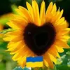 vickiecherry461 - @vickiecherry461 - TikTok