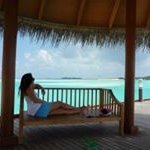 Vicki Chiu Lucarino - @vickilucarino - Instagram