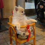 Vicky Chiu - @vicky___chiu - Instagram
