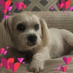 Vicki Clayman - @vickiclayman - Instagram