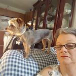 Vicki Mccleary - @mcclearyvicki - Instagram