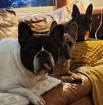 Vikki Cleary - Facebook