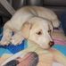 Vikki Clift - Facebook