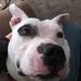 Vicki Gates - Facebook