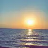 vickicoats_ - @vickicoats_ - TikTok