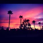 Vicki Coble - @vcoble - Instagram