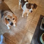 Vicki Cochran - @mg2014vkc - Instagram
