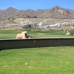 Vicki Cochran - @arizona_real.estate_agent - Instagram