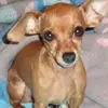 vickicockrell - @vickicockrell - TikTok