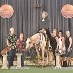 Vicki Coffman - @coffman_qh - Instagram
