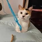 Vickie Coffman - @vickiecoffman7 - Instagram