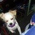 Vicki Coonfield - Facebook