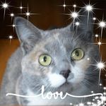 Vickie Colburn - @vickienpatches - Instagram