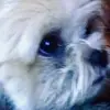 Vicki - @vickicole6 - TikTok