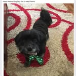Vicki Colman McIntosh - @vickimac65 - Instagram