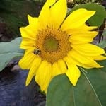 Vicky Baird Confer - @vickybairdconfer - Instagram