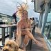 Vicki Connell - Facebook