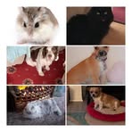 Vicky Coomer - Facebook