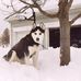 Vickie Corbin - Facebook