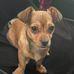 Vicki Corkern - Facebook