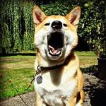 Vicki Cornelius - @vfcornelius - Instagram