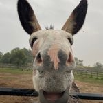Vicki Croft Grafham - @vickicroftgrafham - Instagram