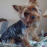 Vickie Crouse Batey - @vickiecrousebatey - Instagram